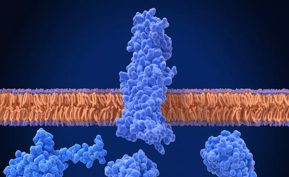 3D rendering of a GLP-1 receptor in blue, spanning a cell membrane. Three blue G proteins float below the receptor inside the cell.